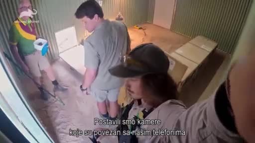 AnimalPlanet