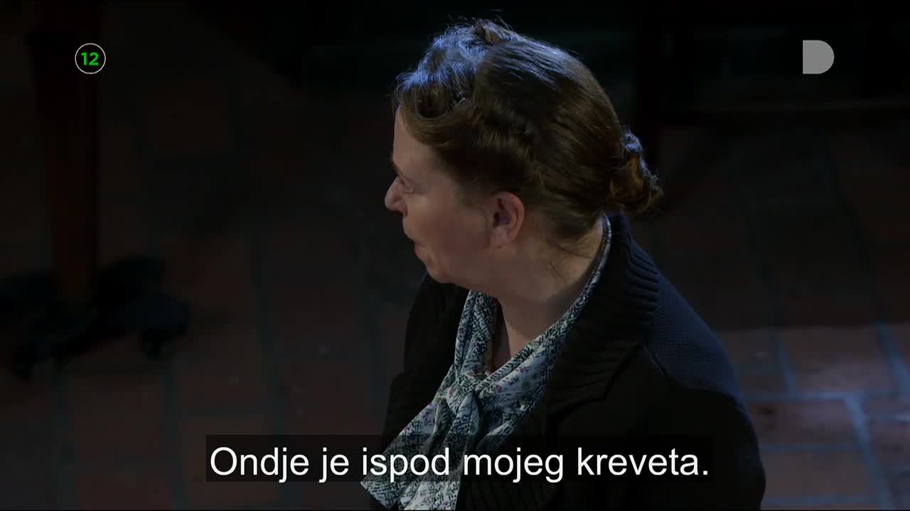DomaTV