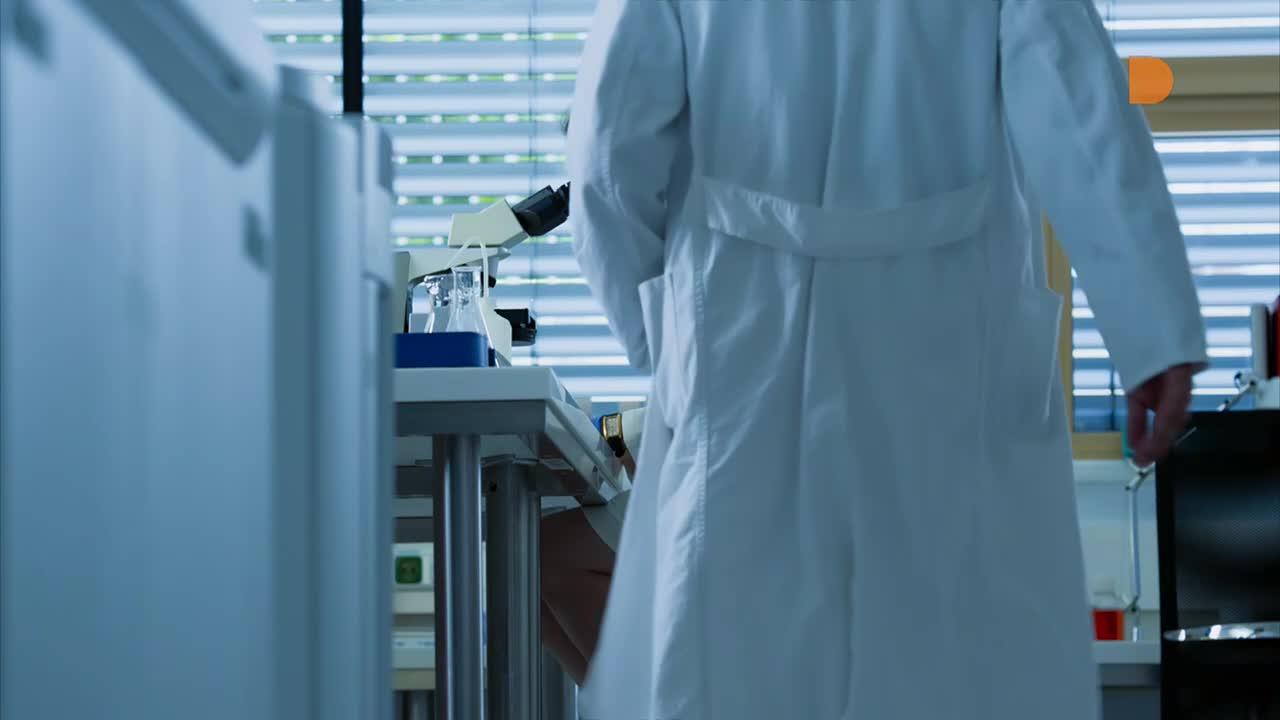 DomaTV