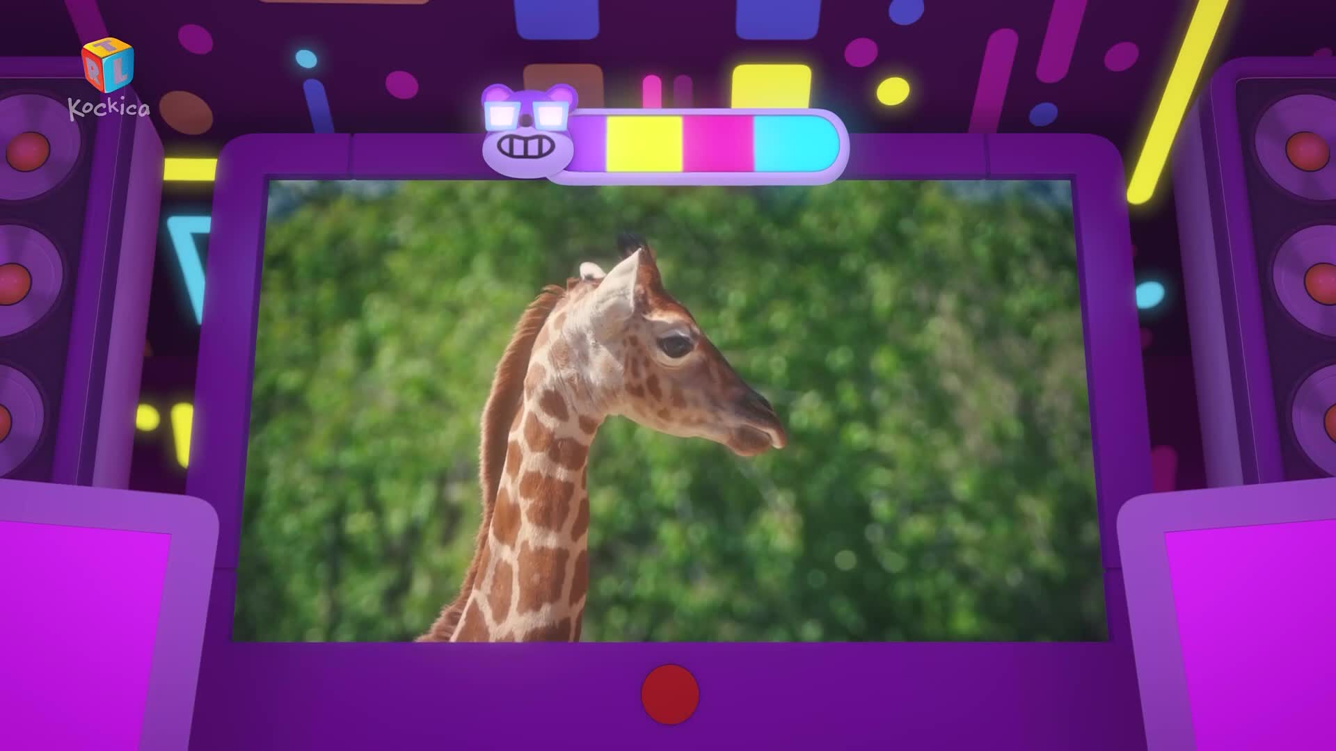 RTLKockica
