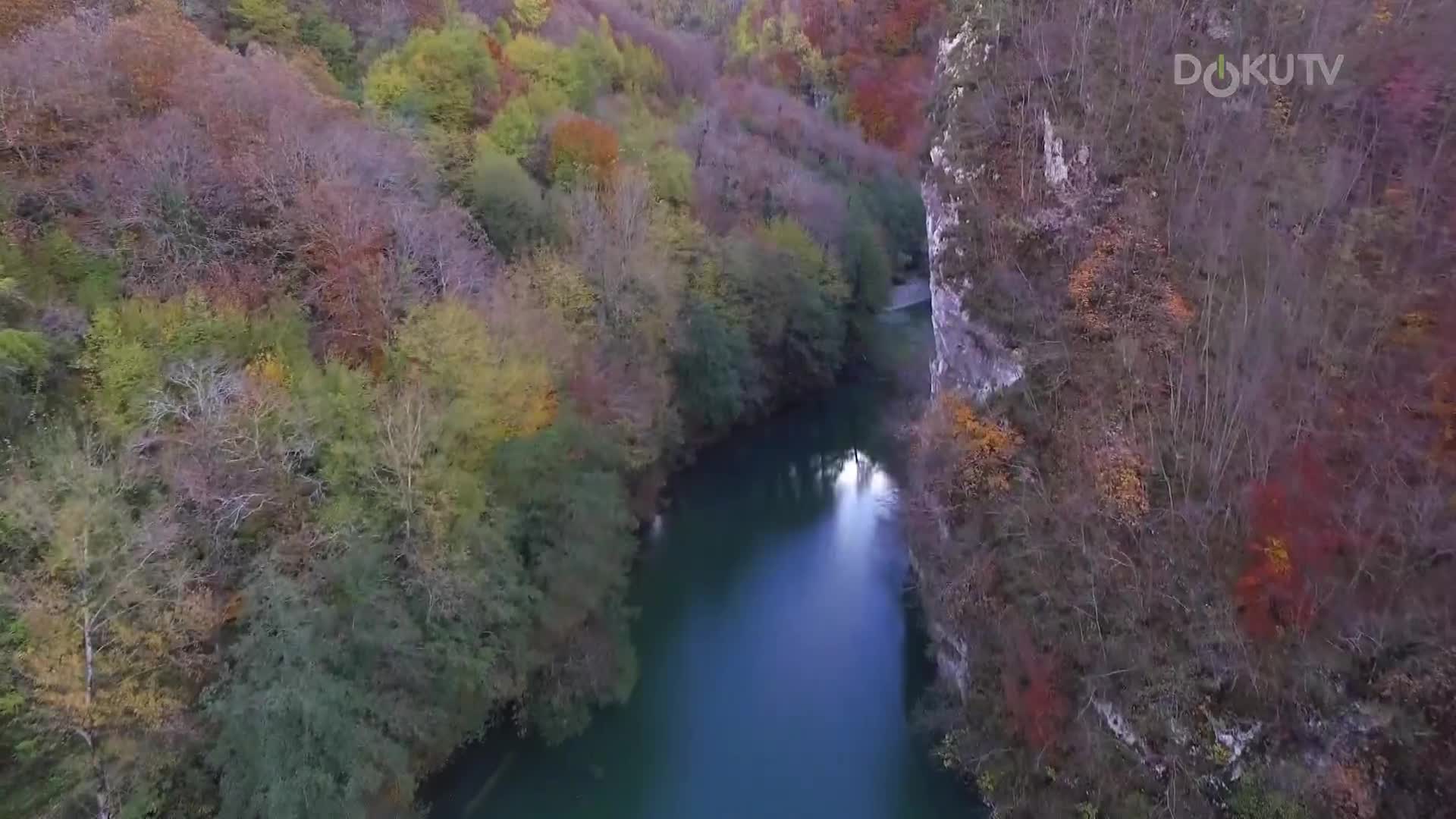 DokuTV