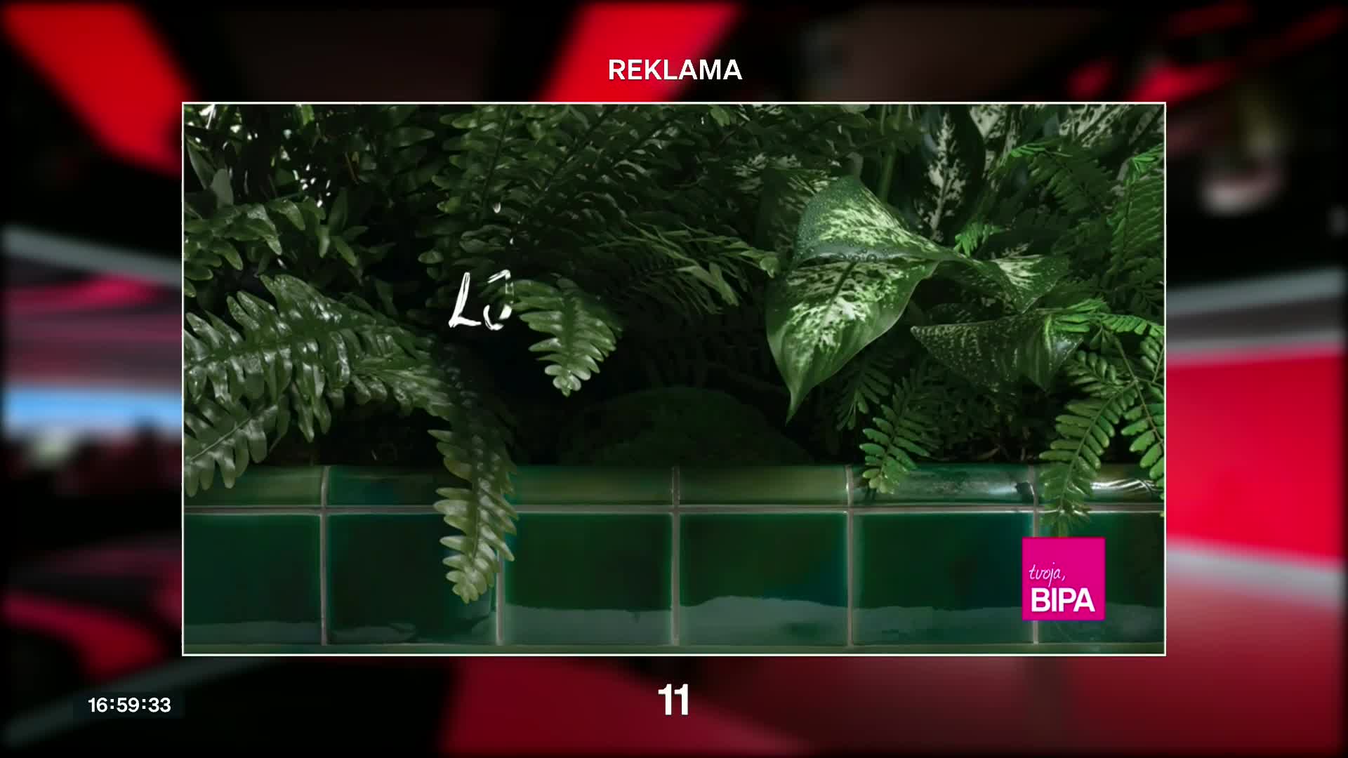 NovaTVPlus