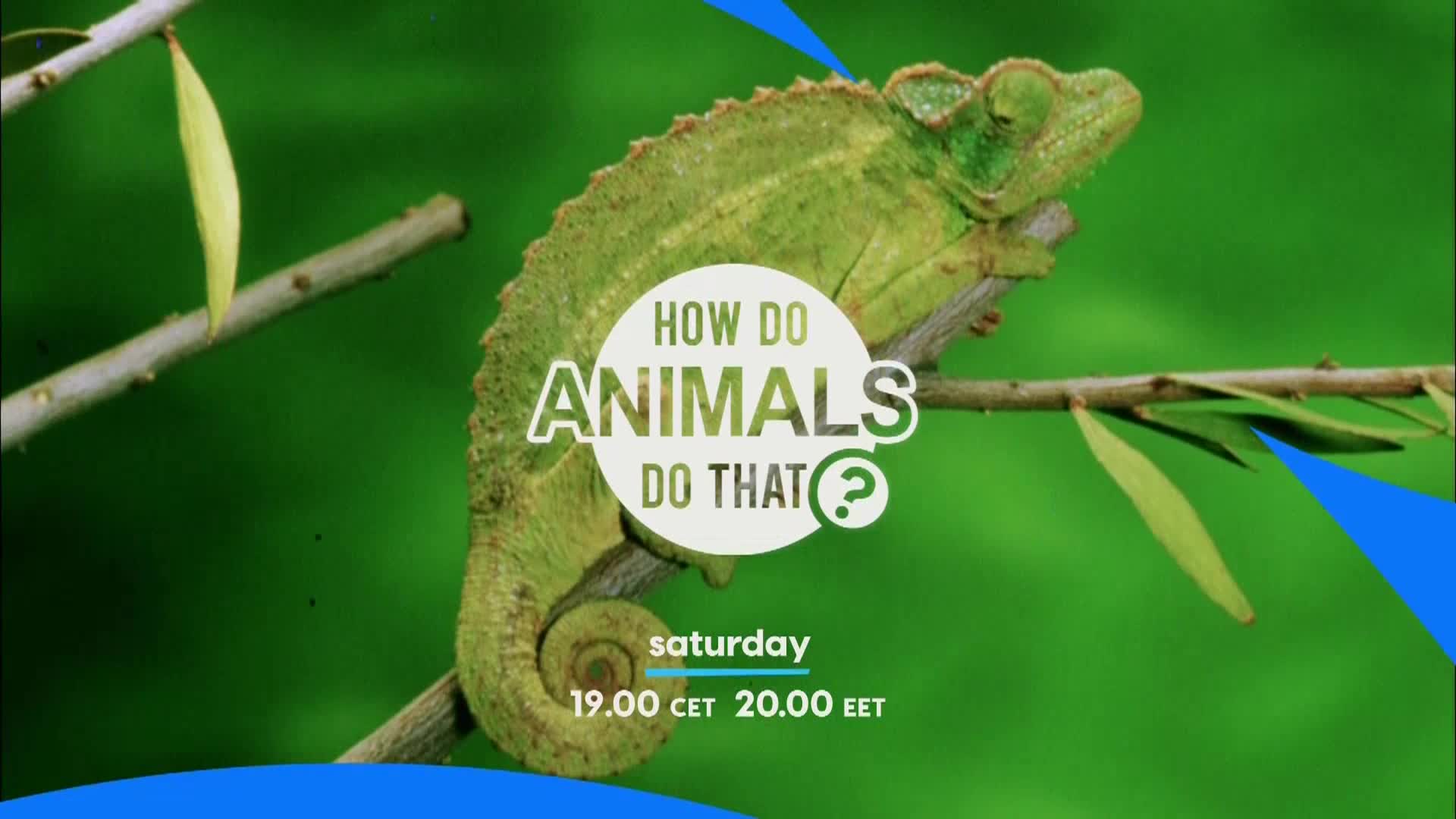 AnimalPlanet