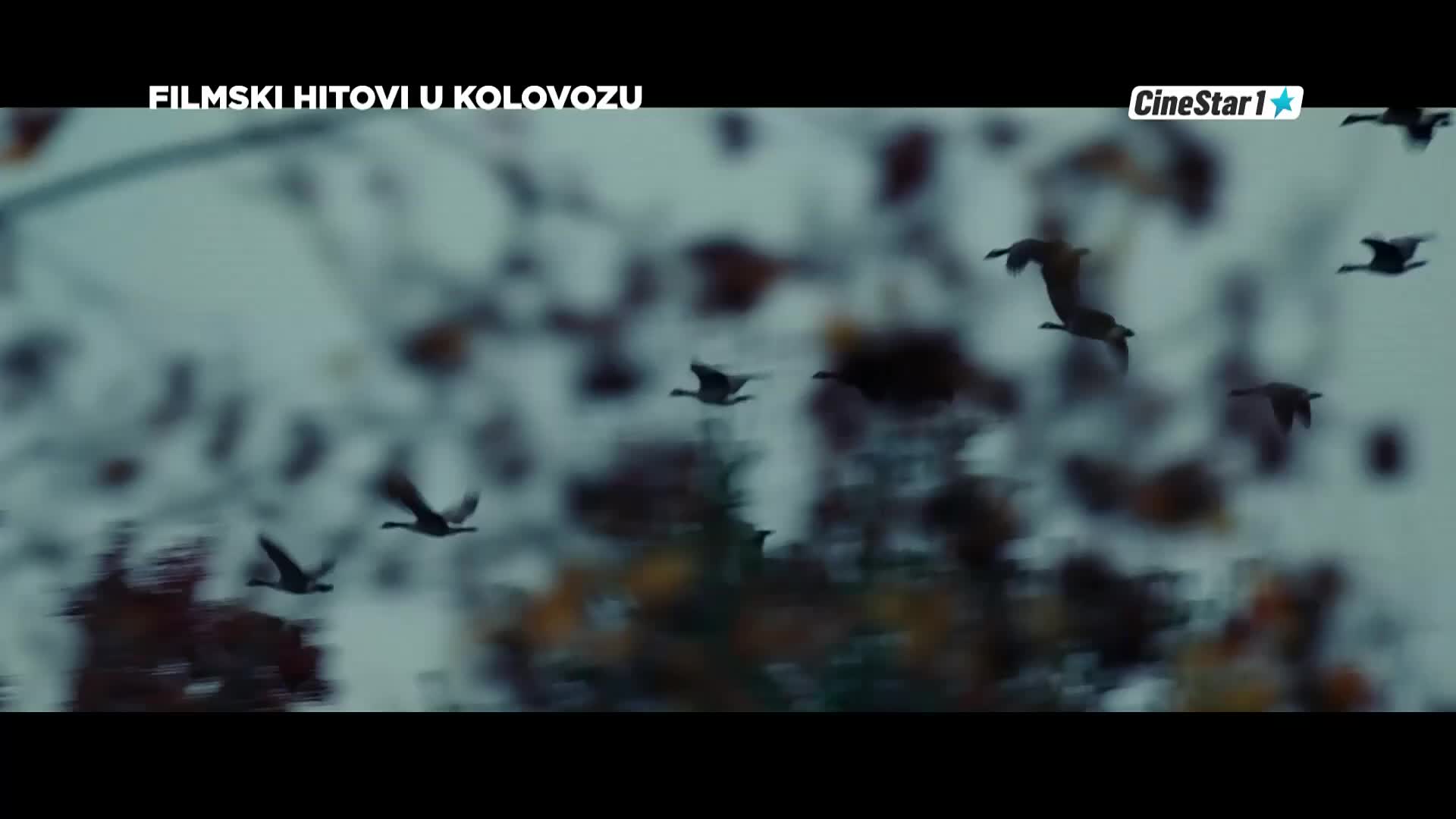 CinestarTV
