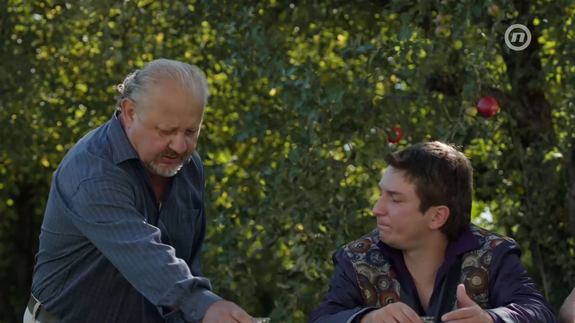 NovaTVPlus