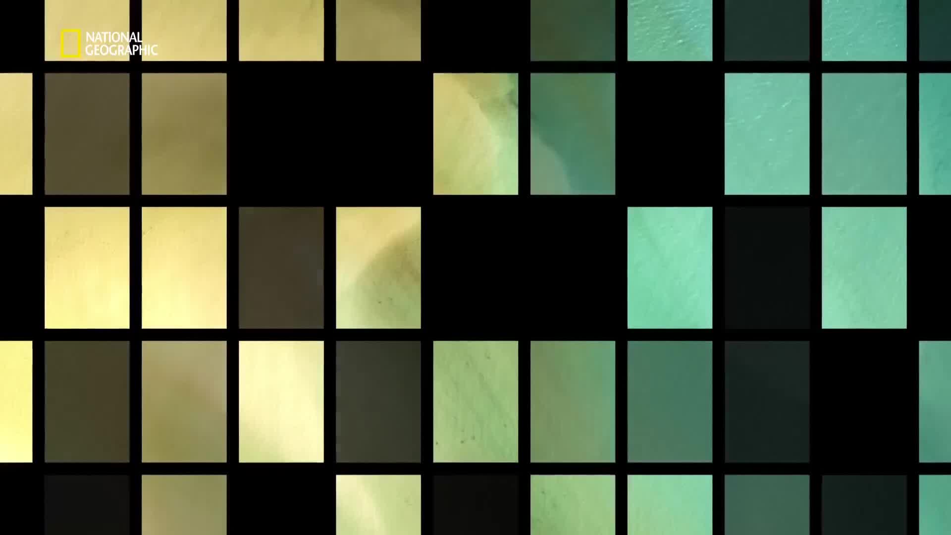 Premium10