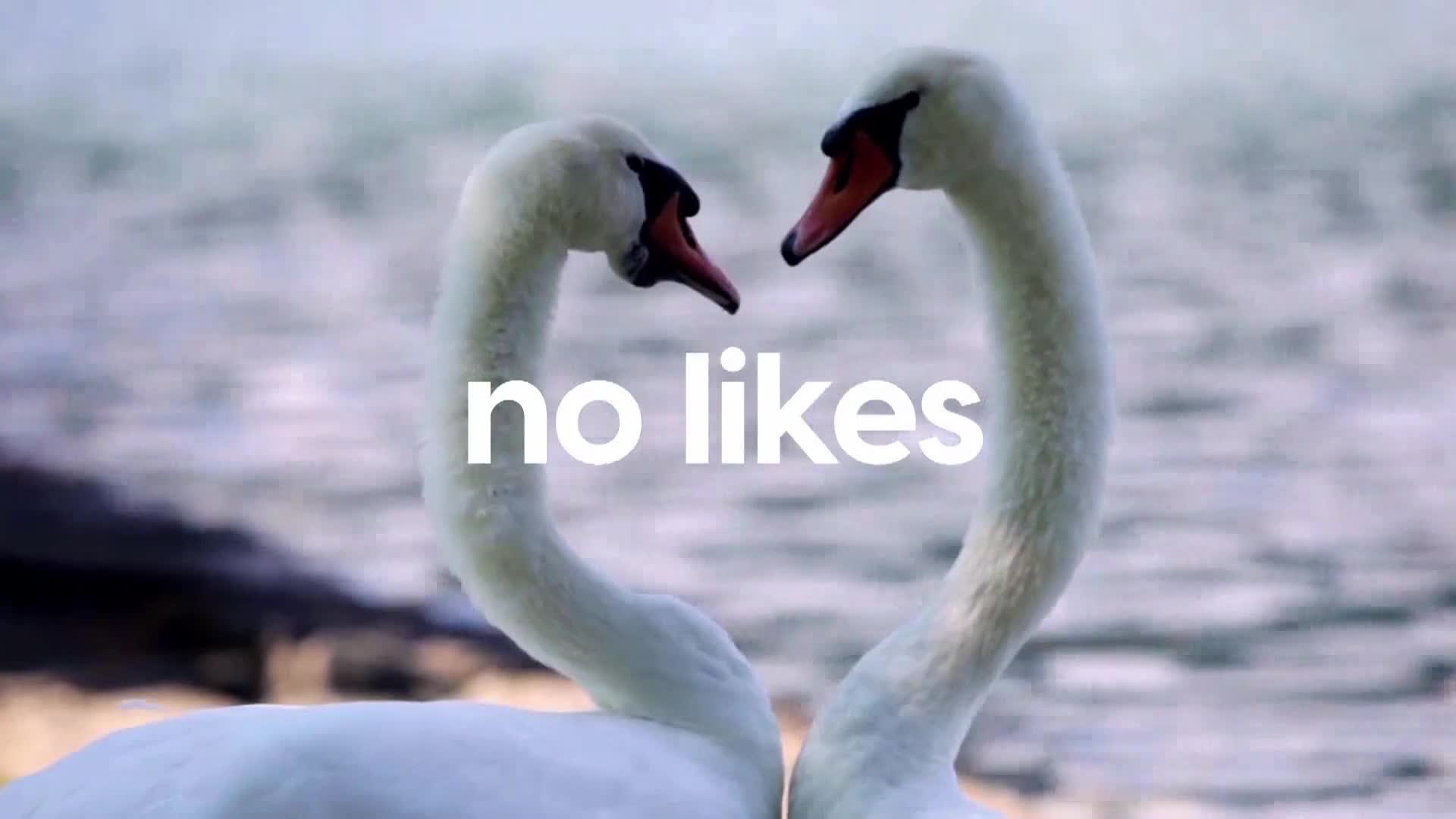 AnimalPlanet