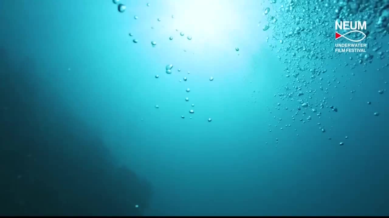 FTV