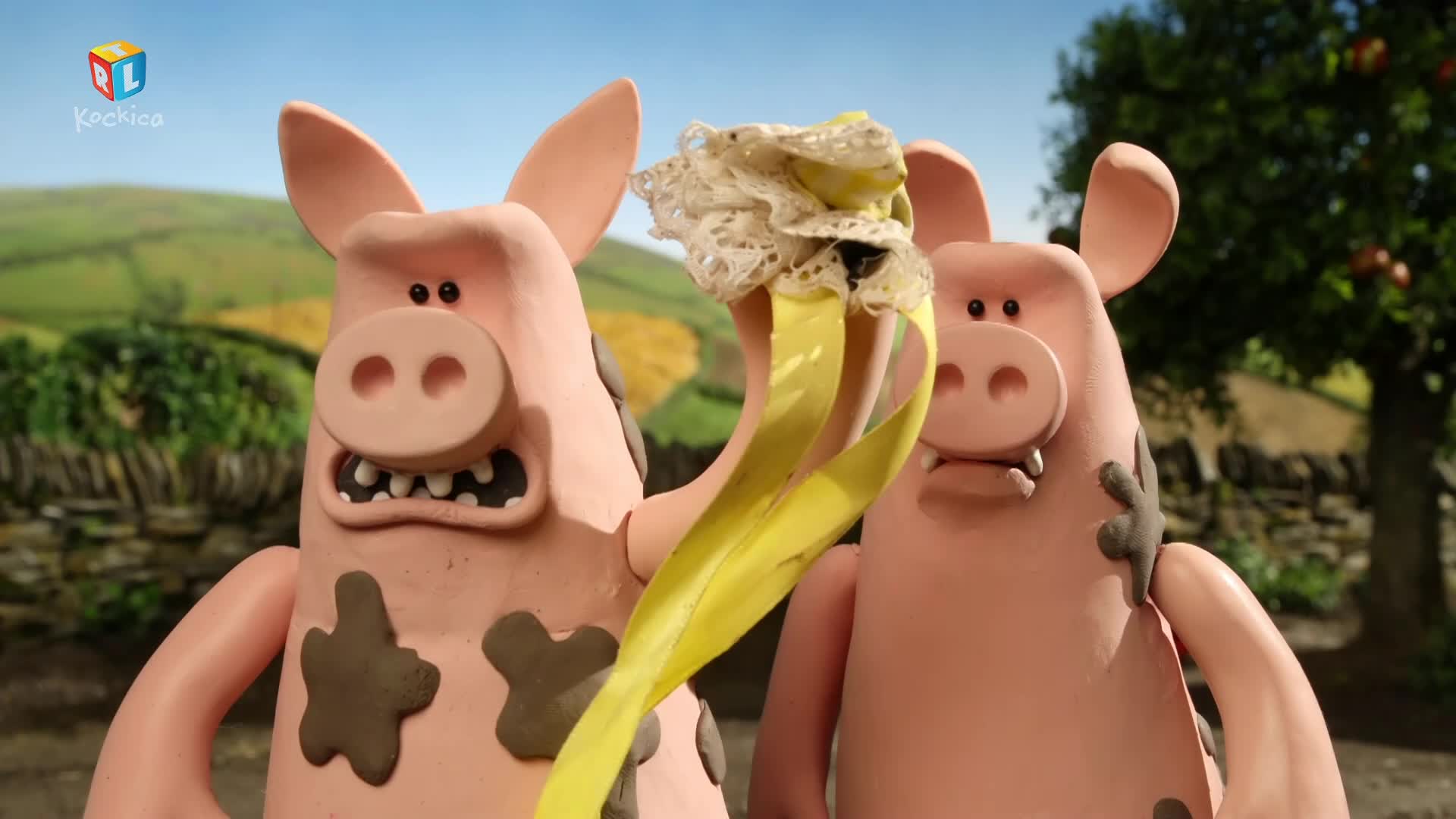 RTLKockica