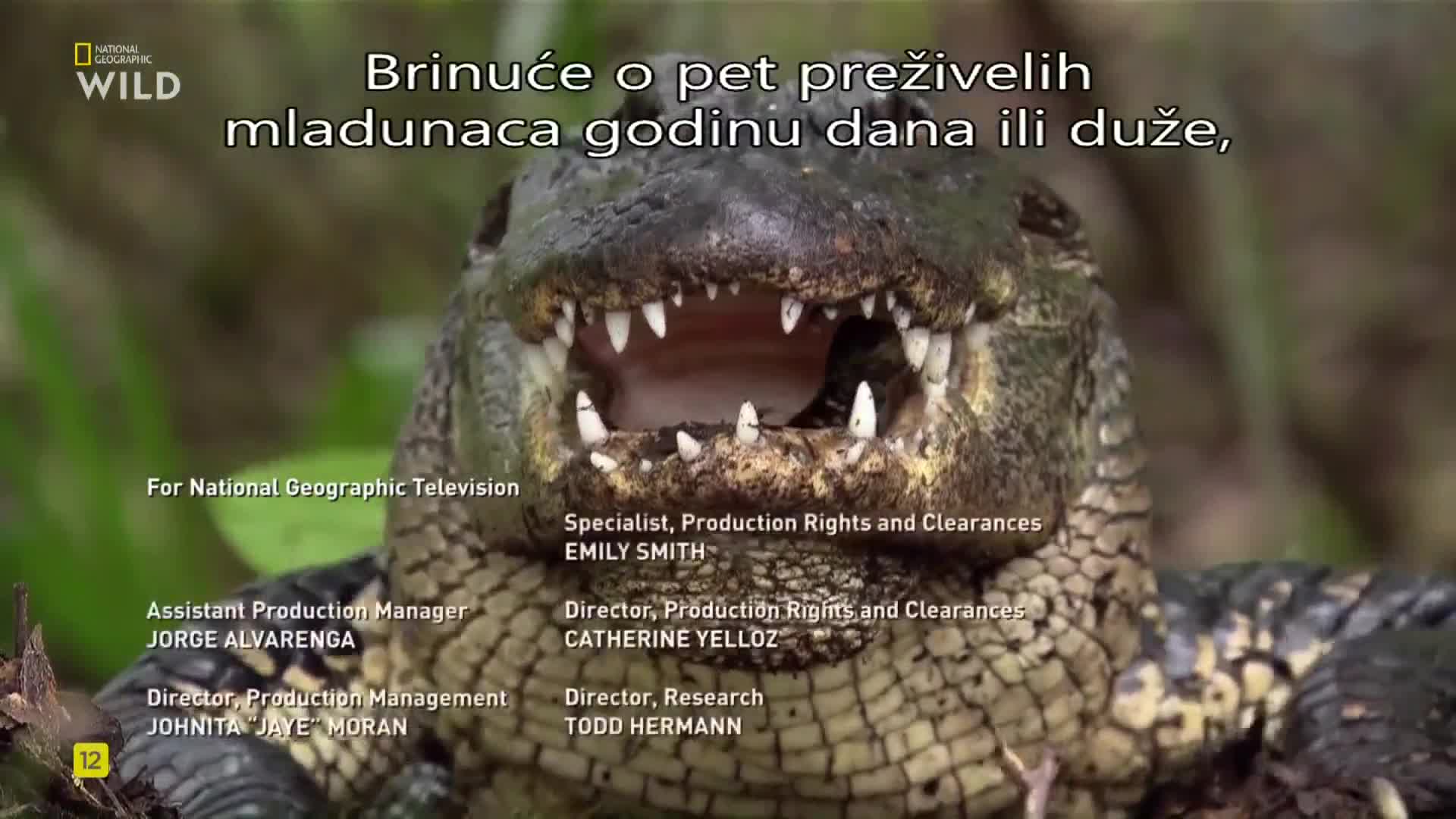 Premium9