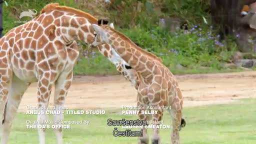 AnimalPlanet
