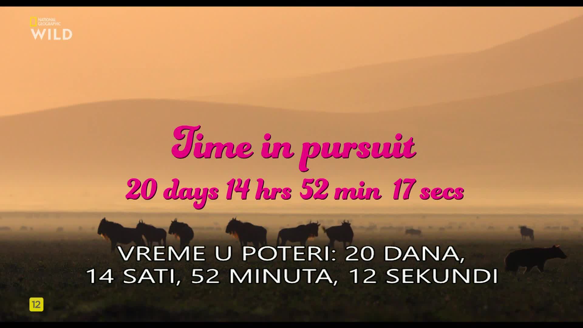 Premium9