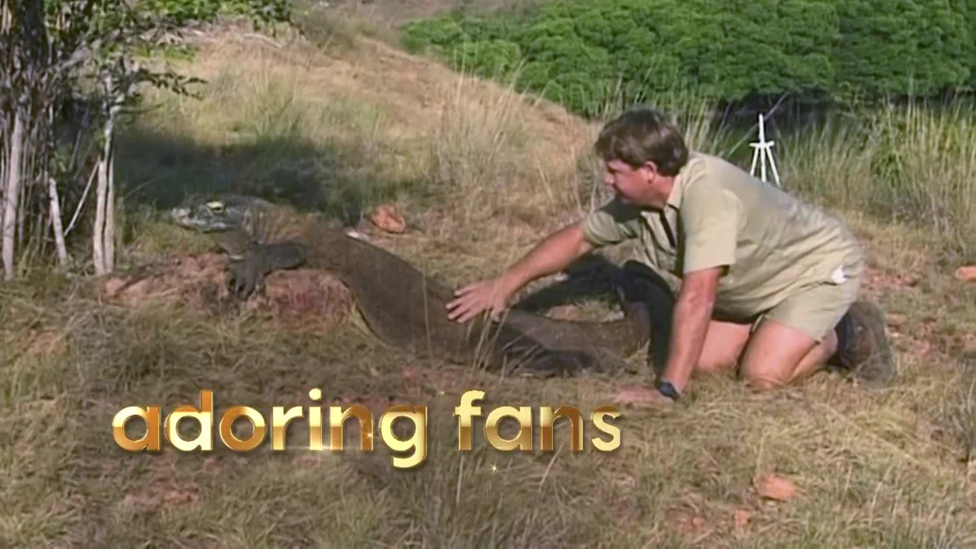 AnimalPlanet
