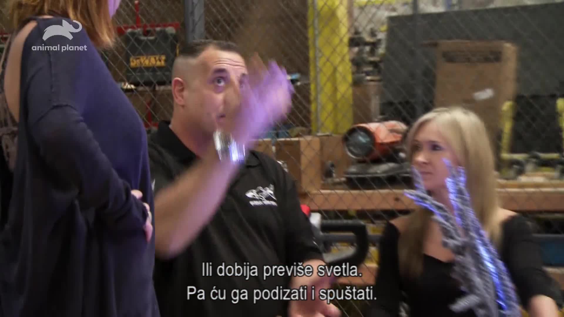 AnimalPlanet