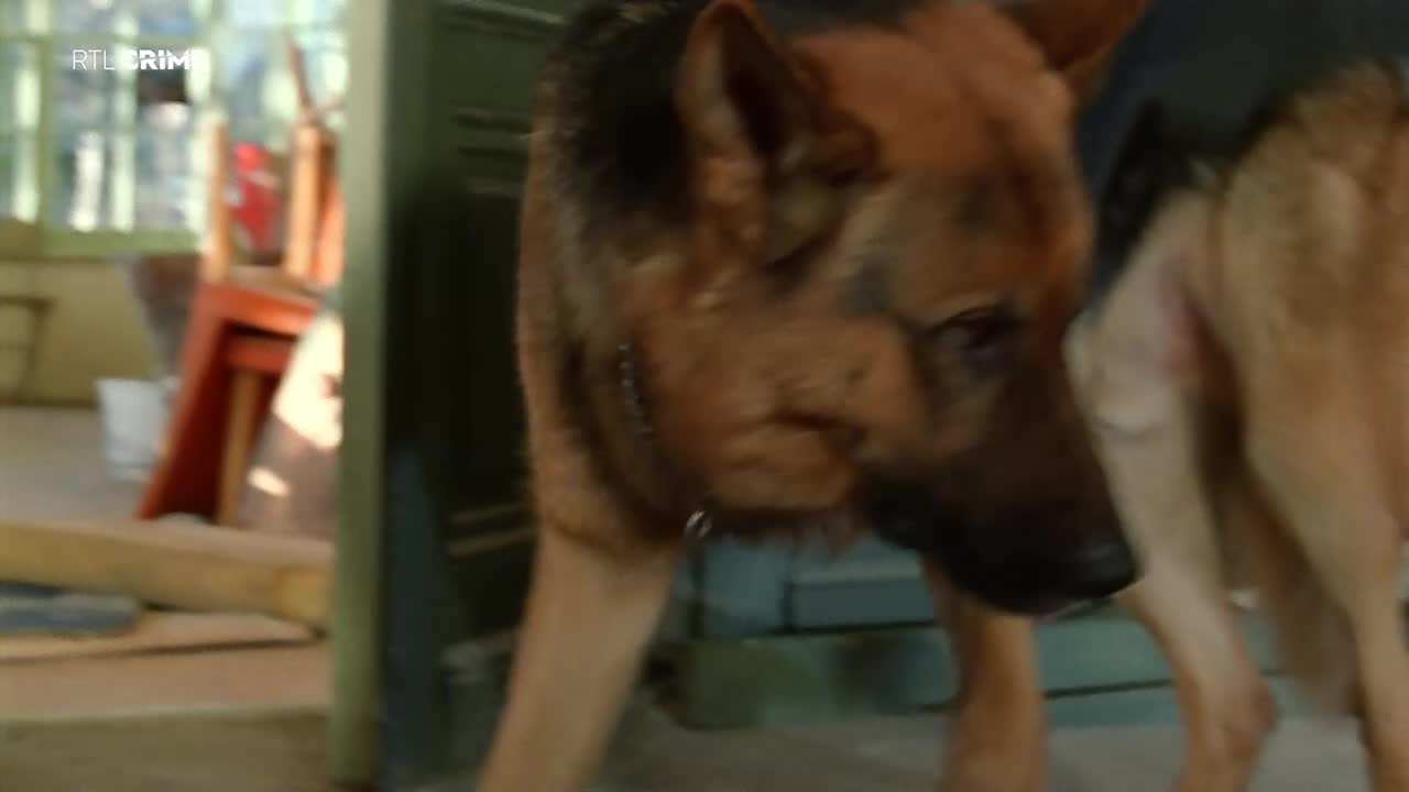 RTLcrime