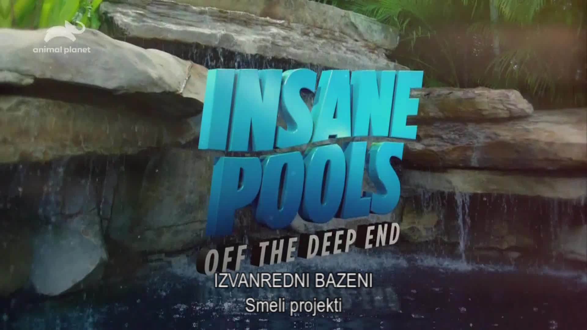 AnimalPlanet
