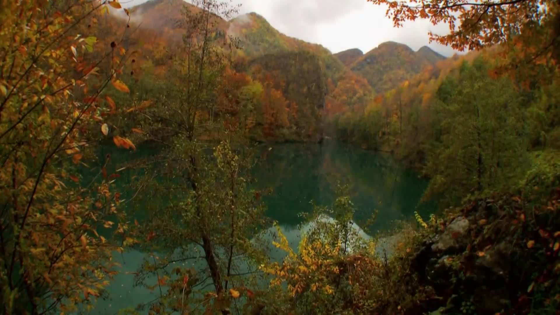 DokuTV