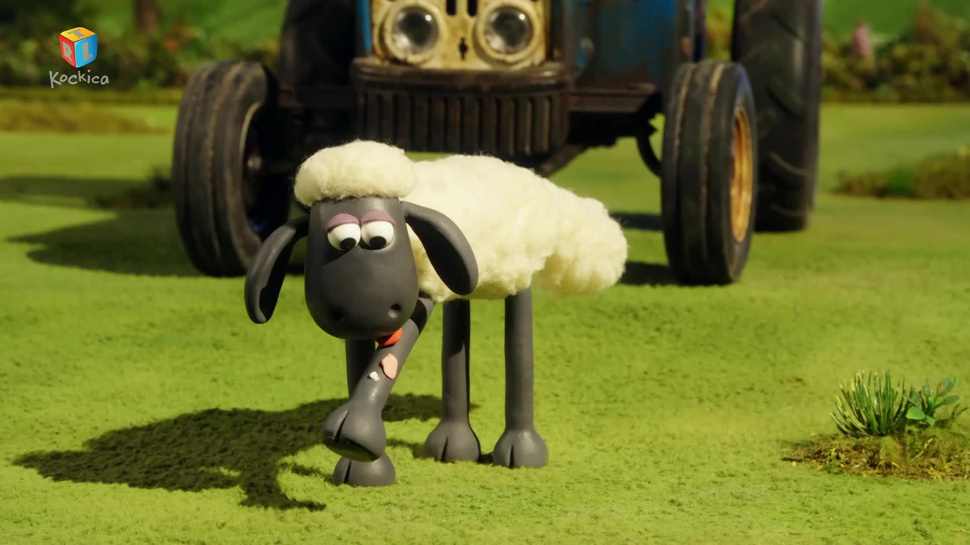 RTLKockica