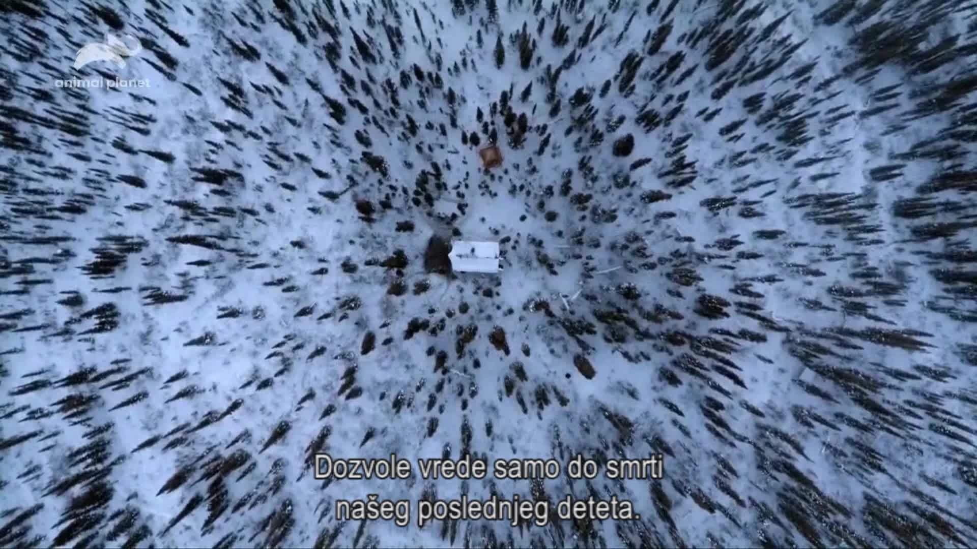 AnimalPlanet