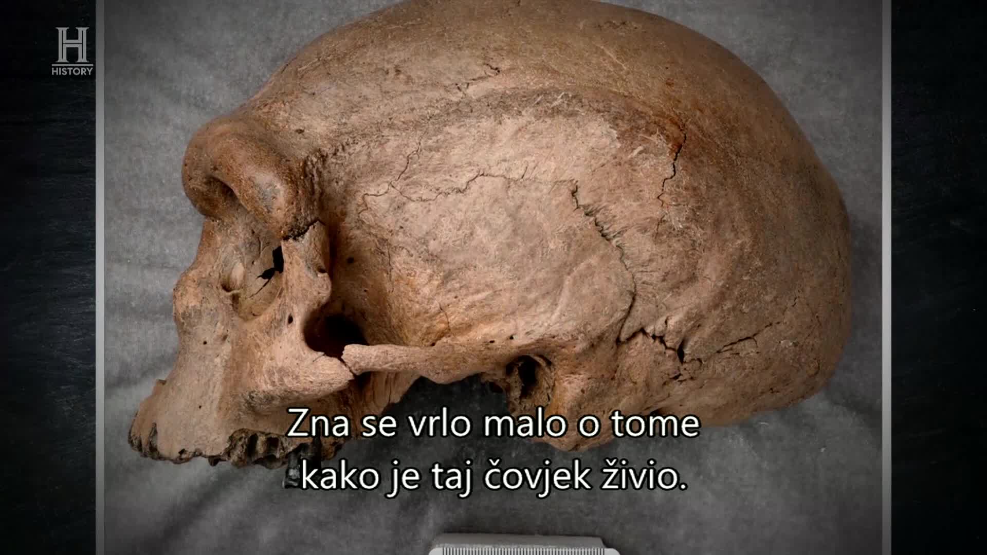 History