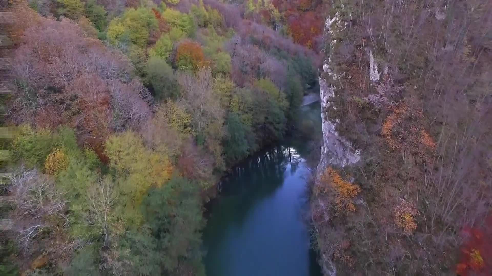 DokuTV