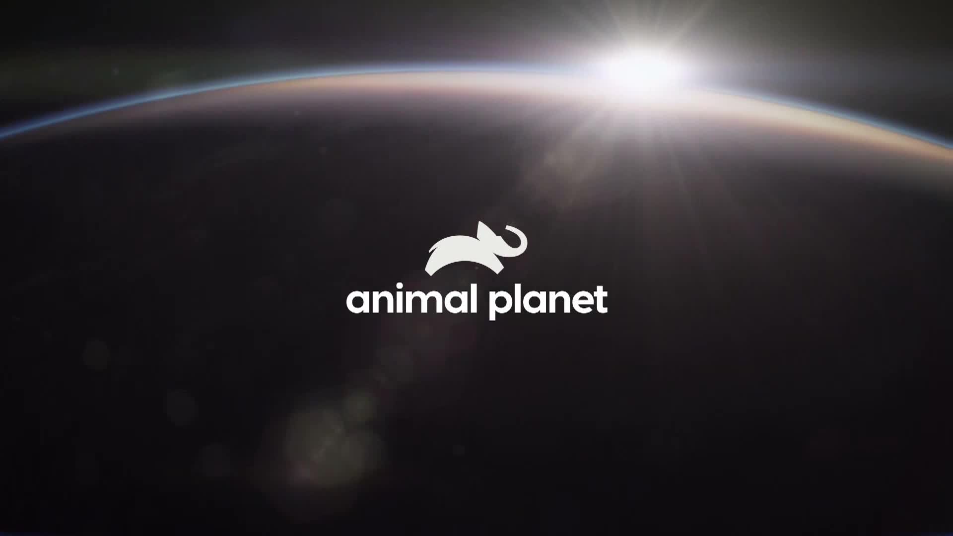 AnimalPlanet
