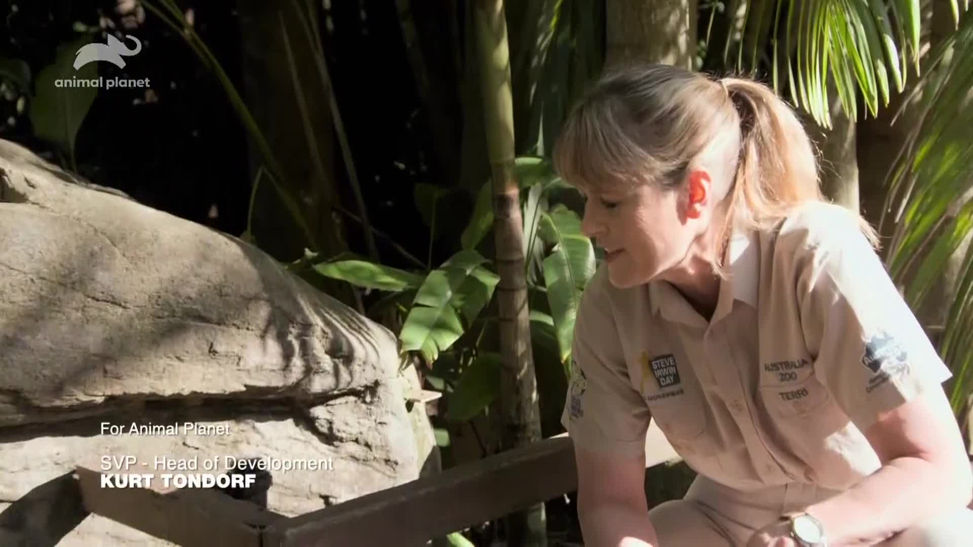 AnimalPlanet