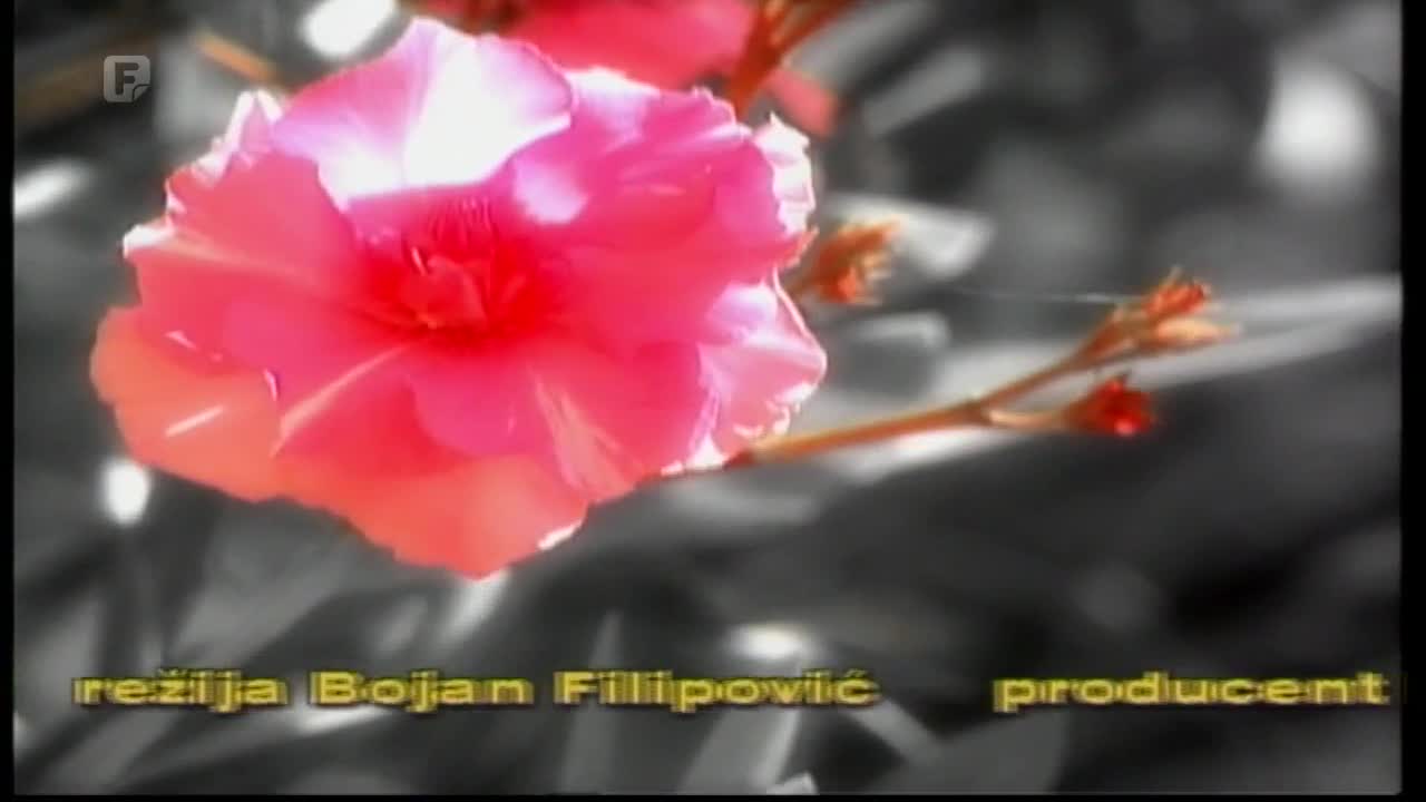 FTV