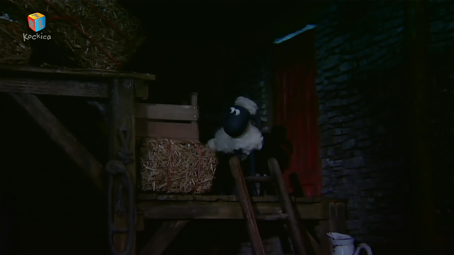 RTLKockica