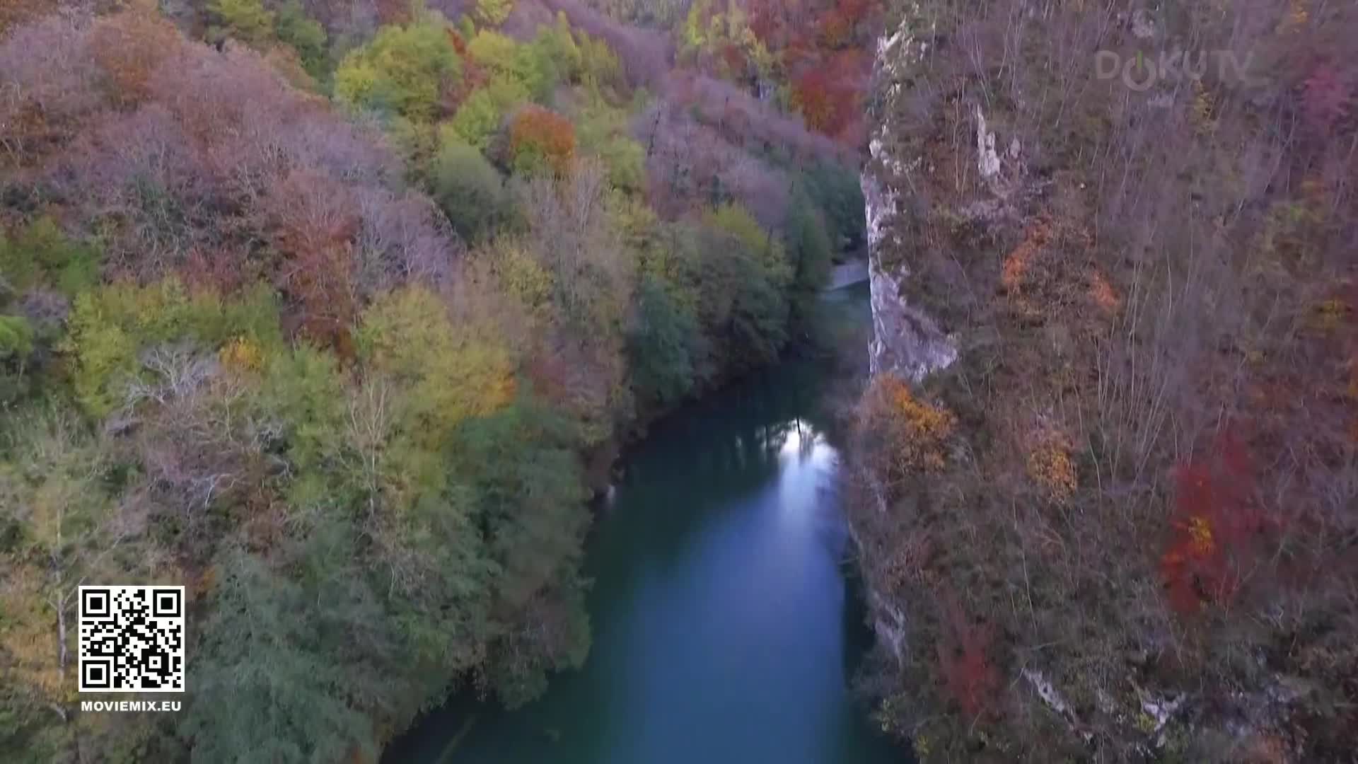 DokuTV