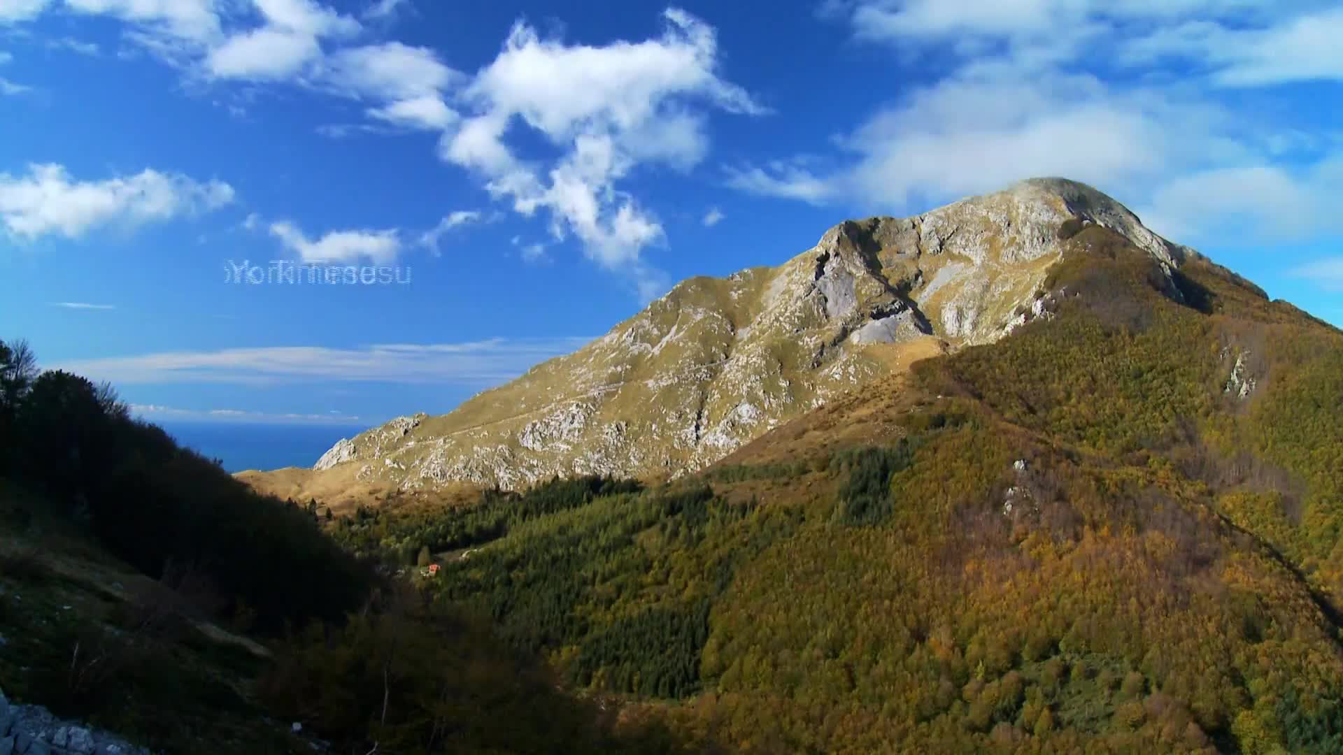DokuTV