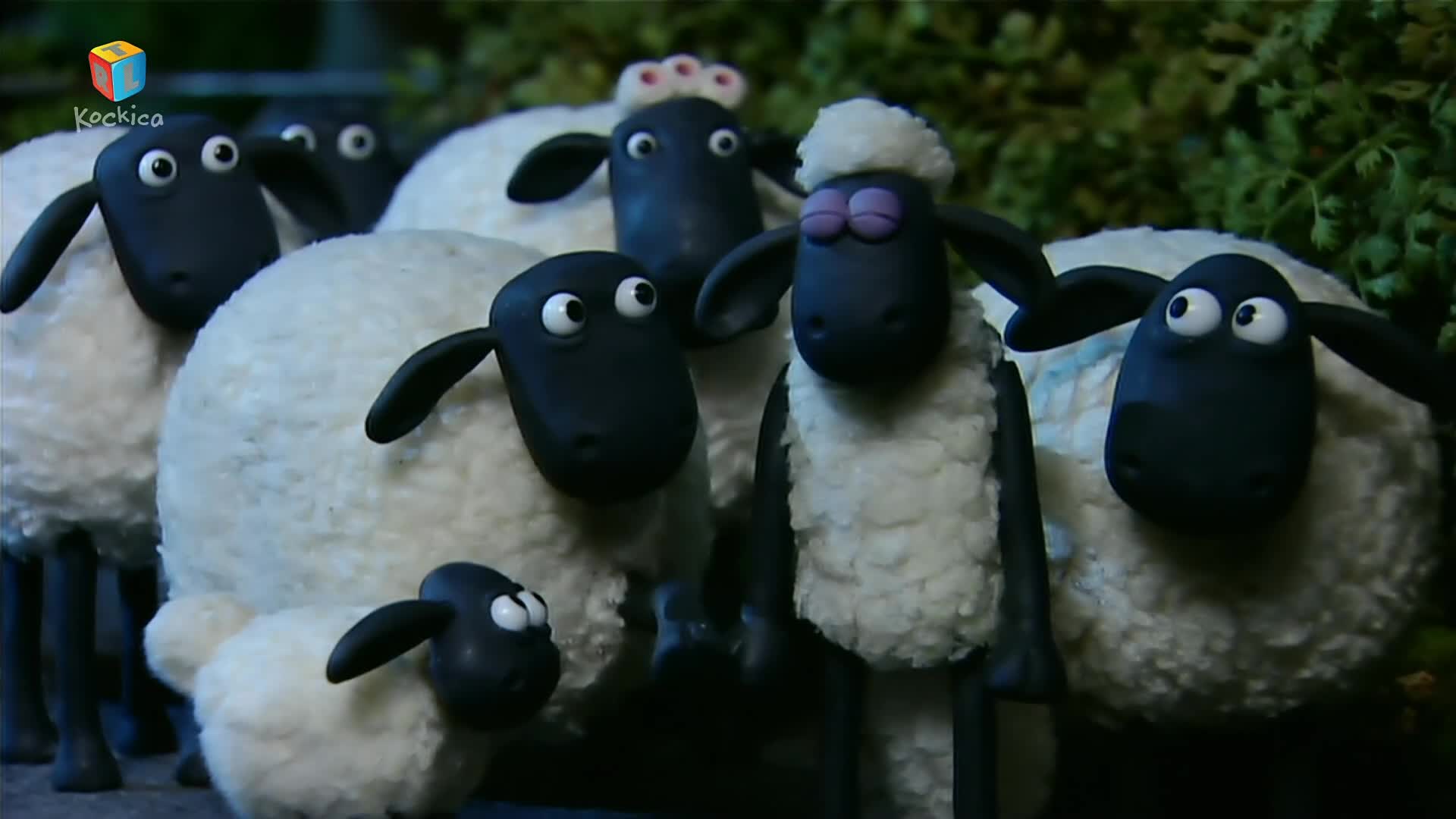RTLKockica