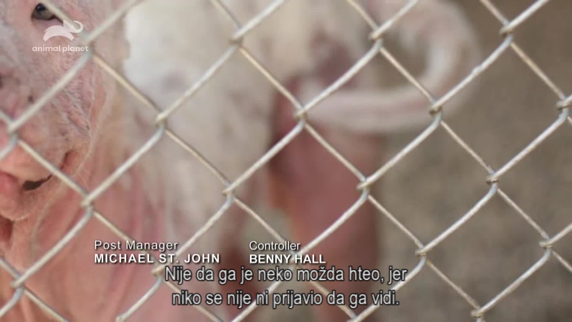 AnimalPlanet