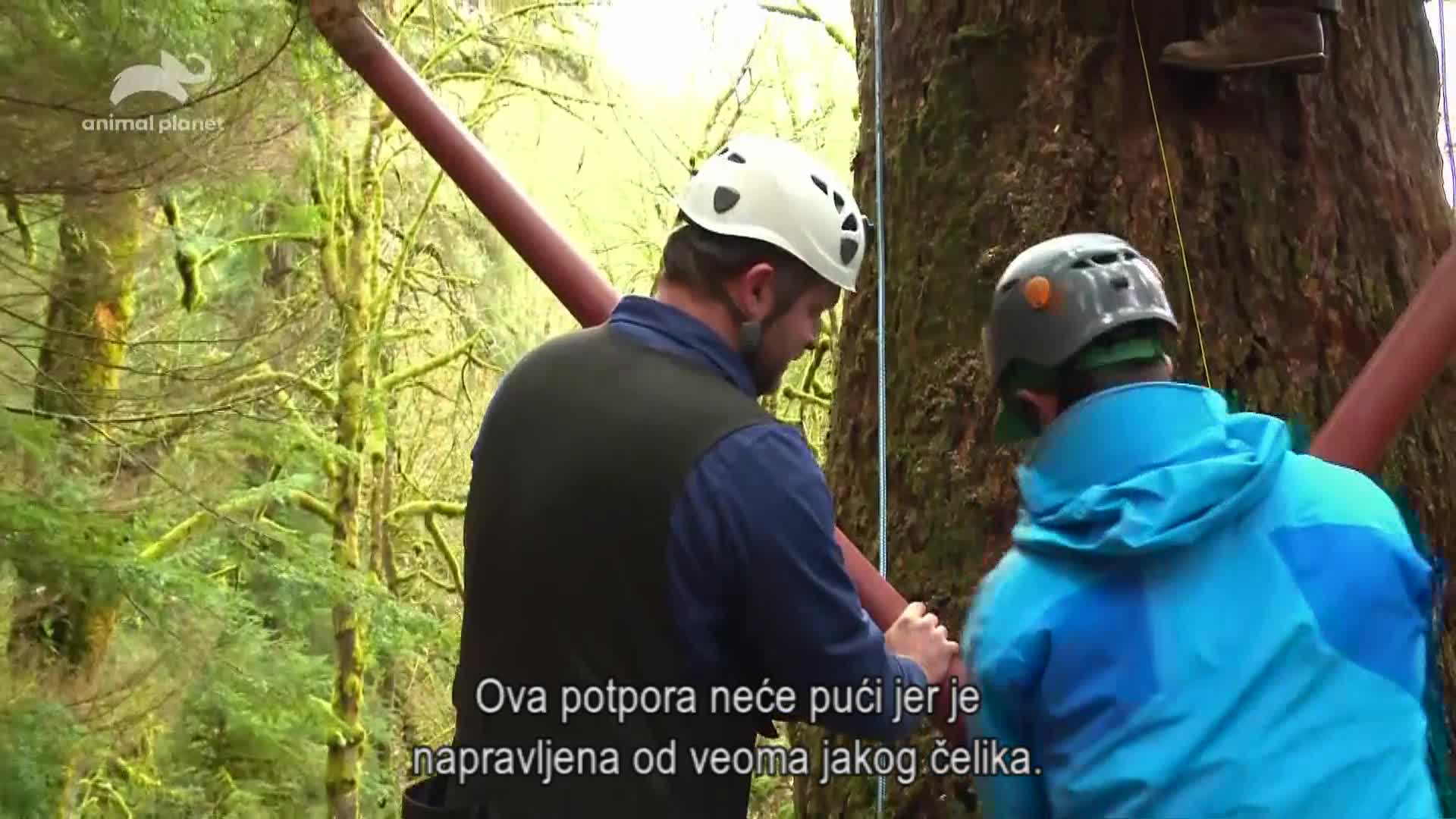 AnimalPlanet