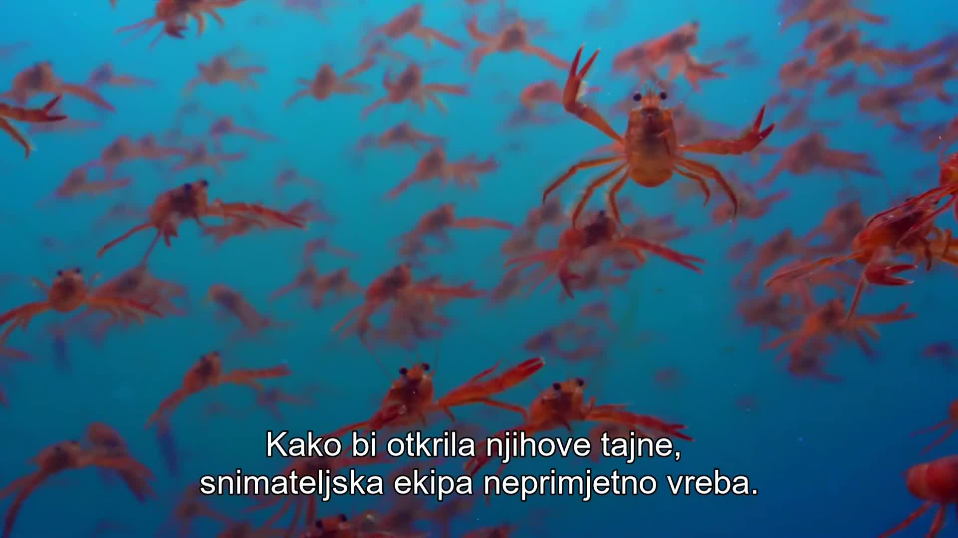 HRT1