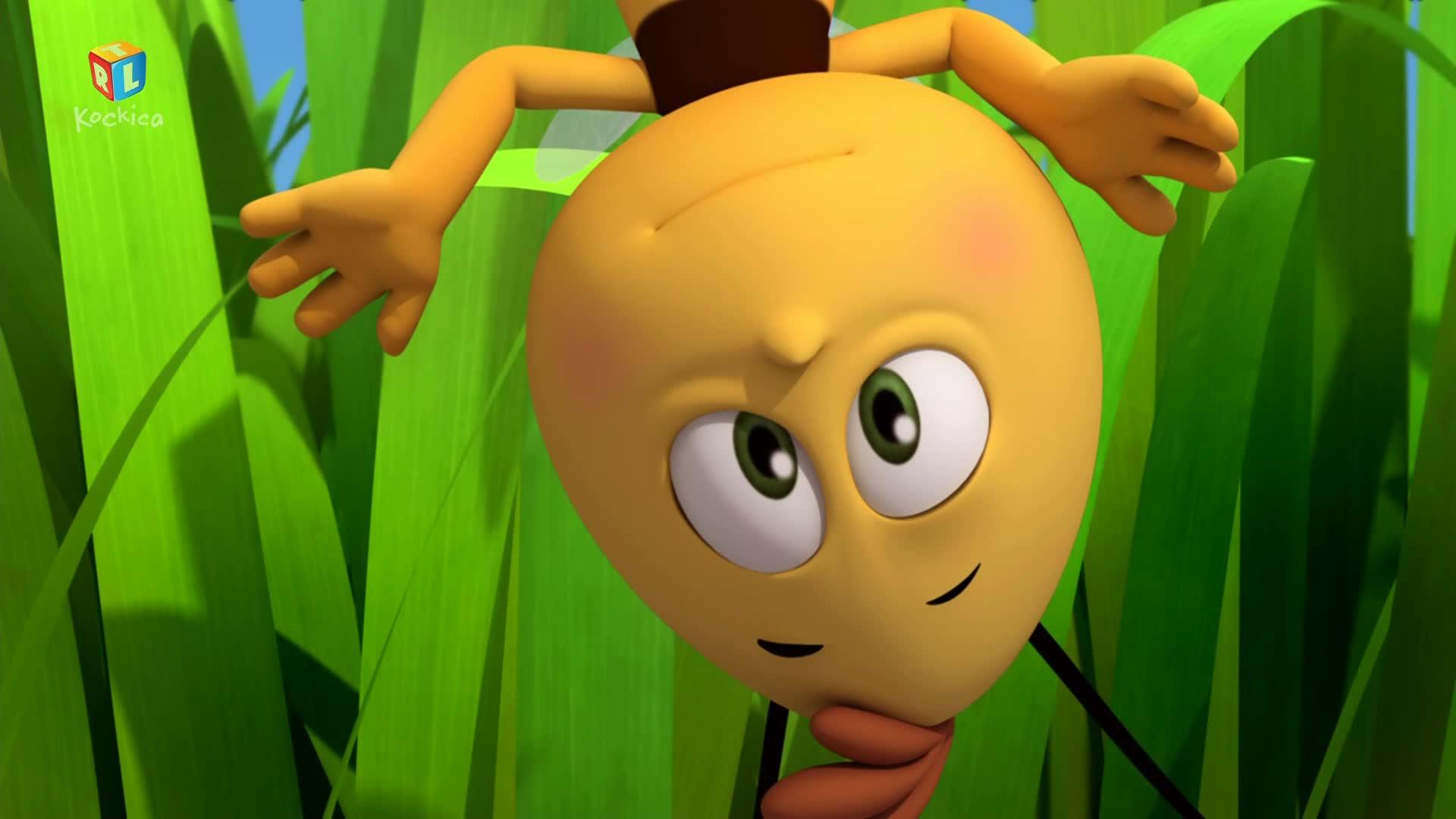 RTLKockica