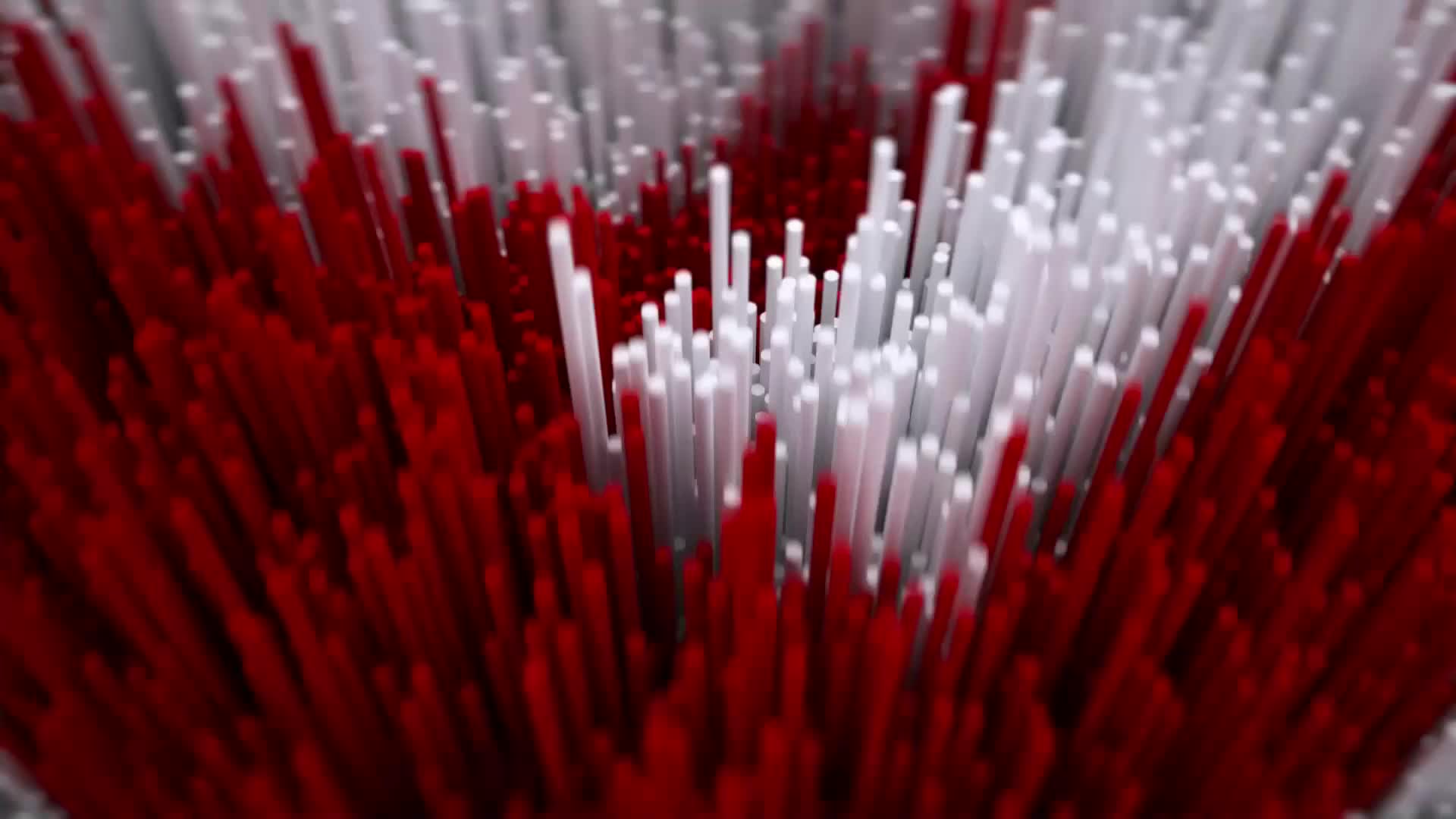 NovaTVPlus