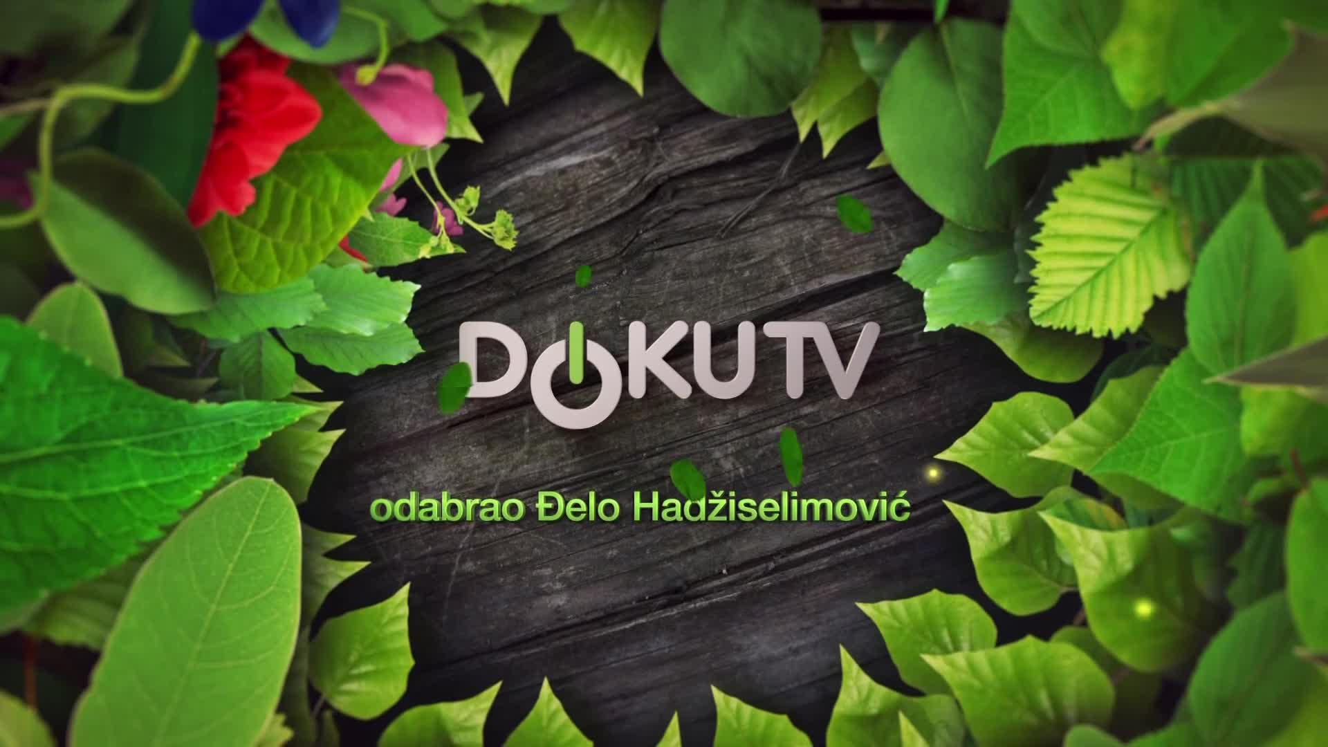DokuTV