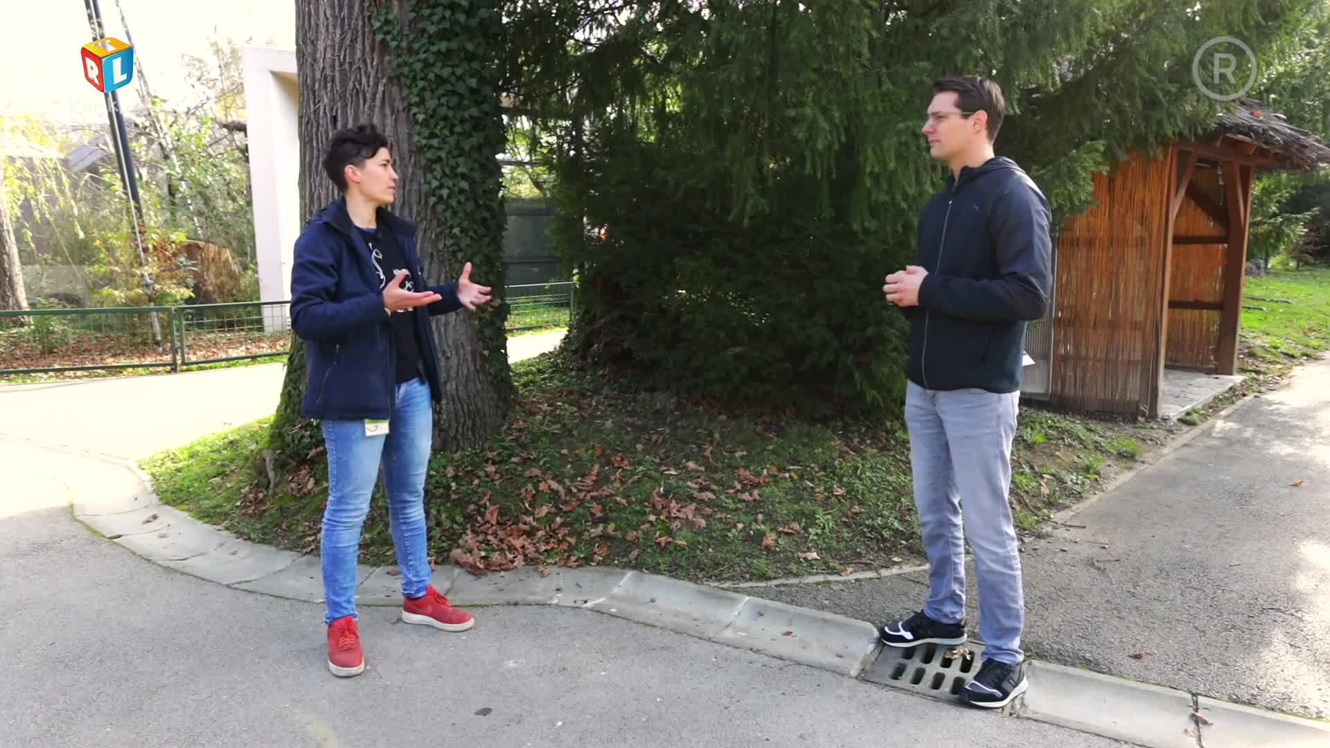 RTLKockica