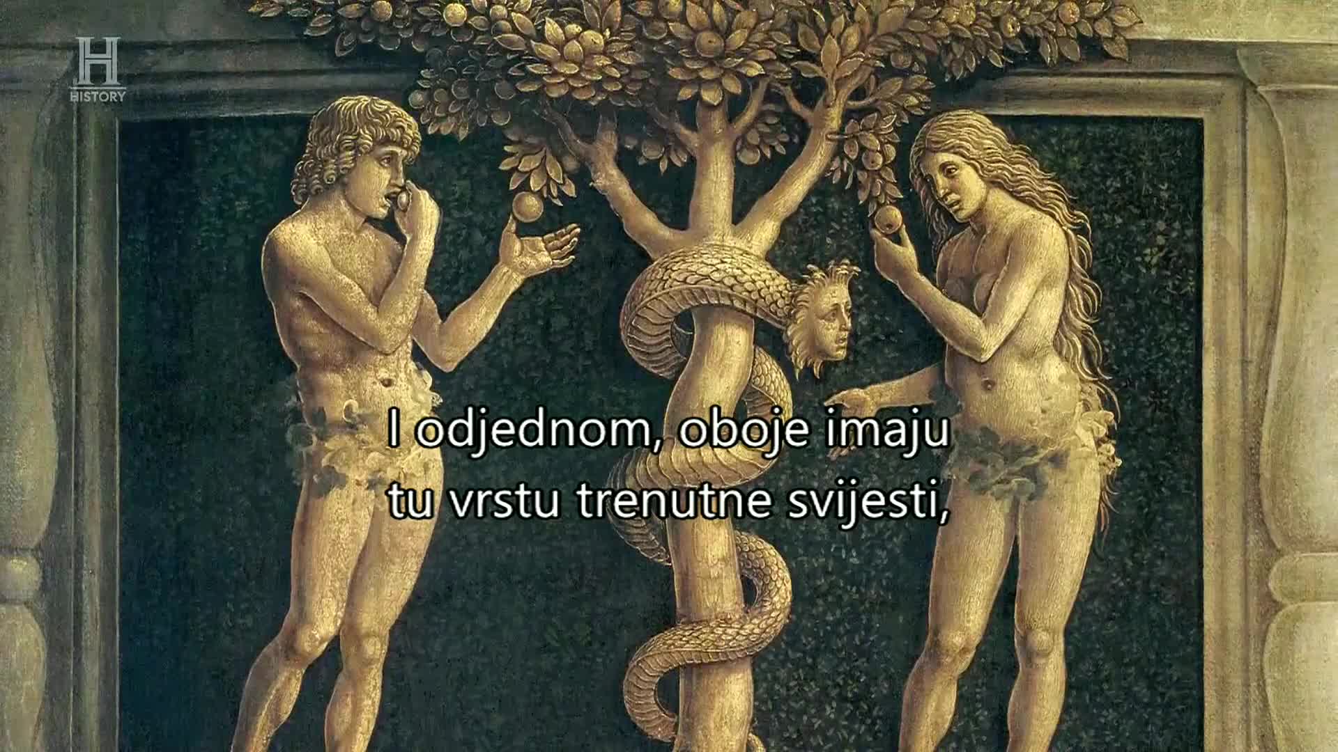 History