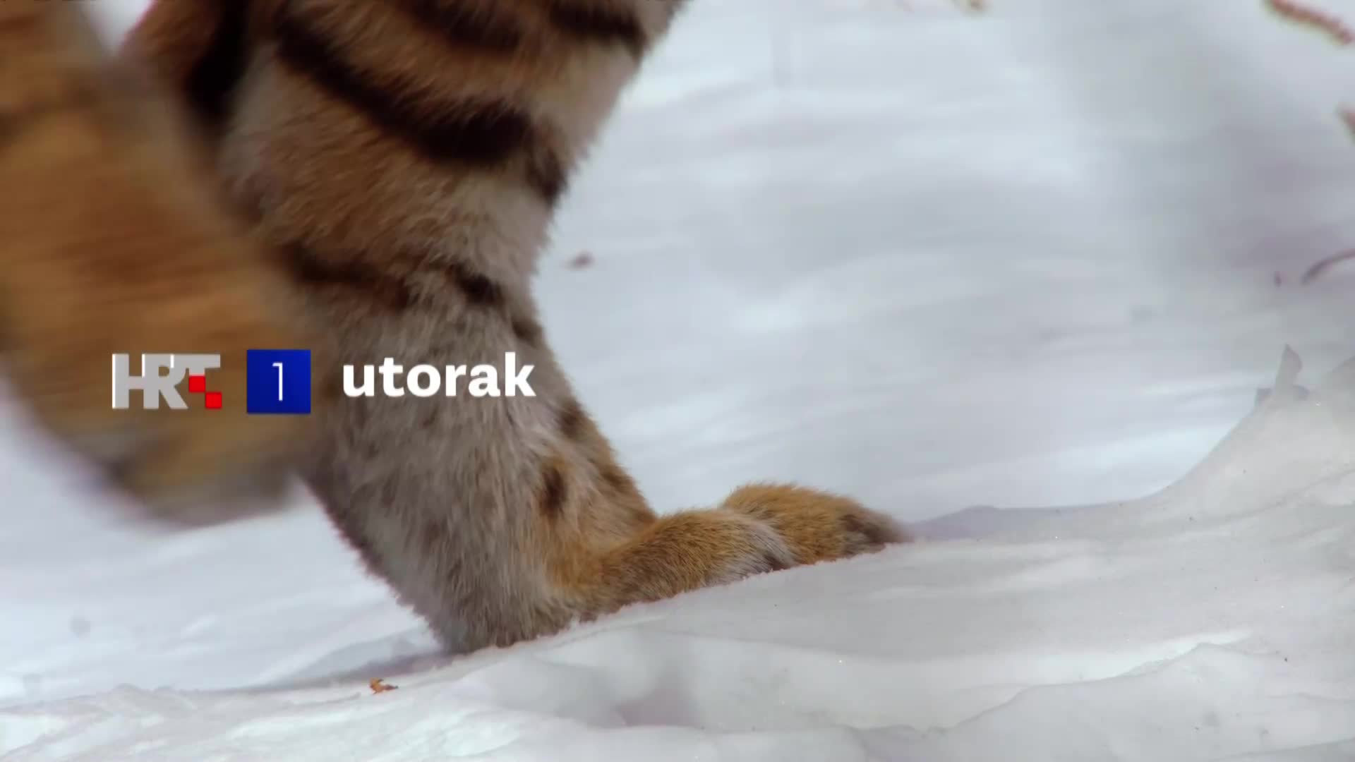 HRT3