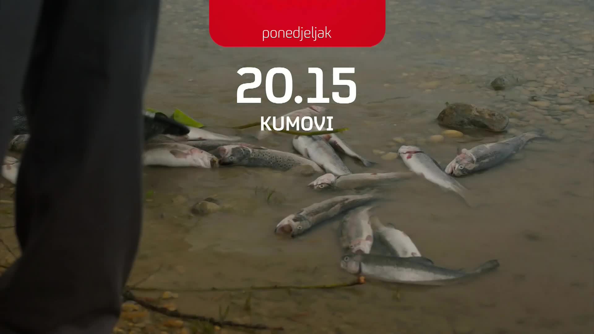 NovaTVPlus