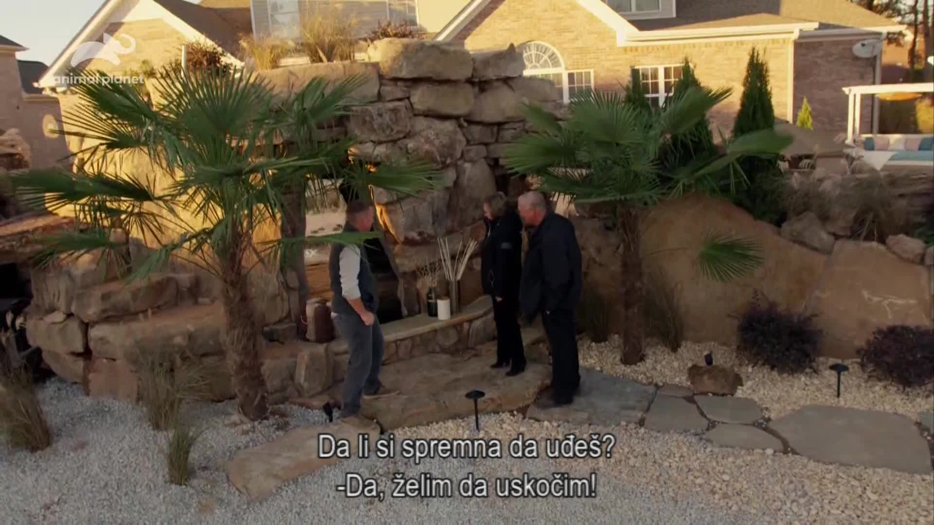 AnimalPlanet