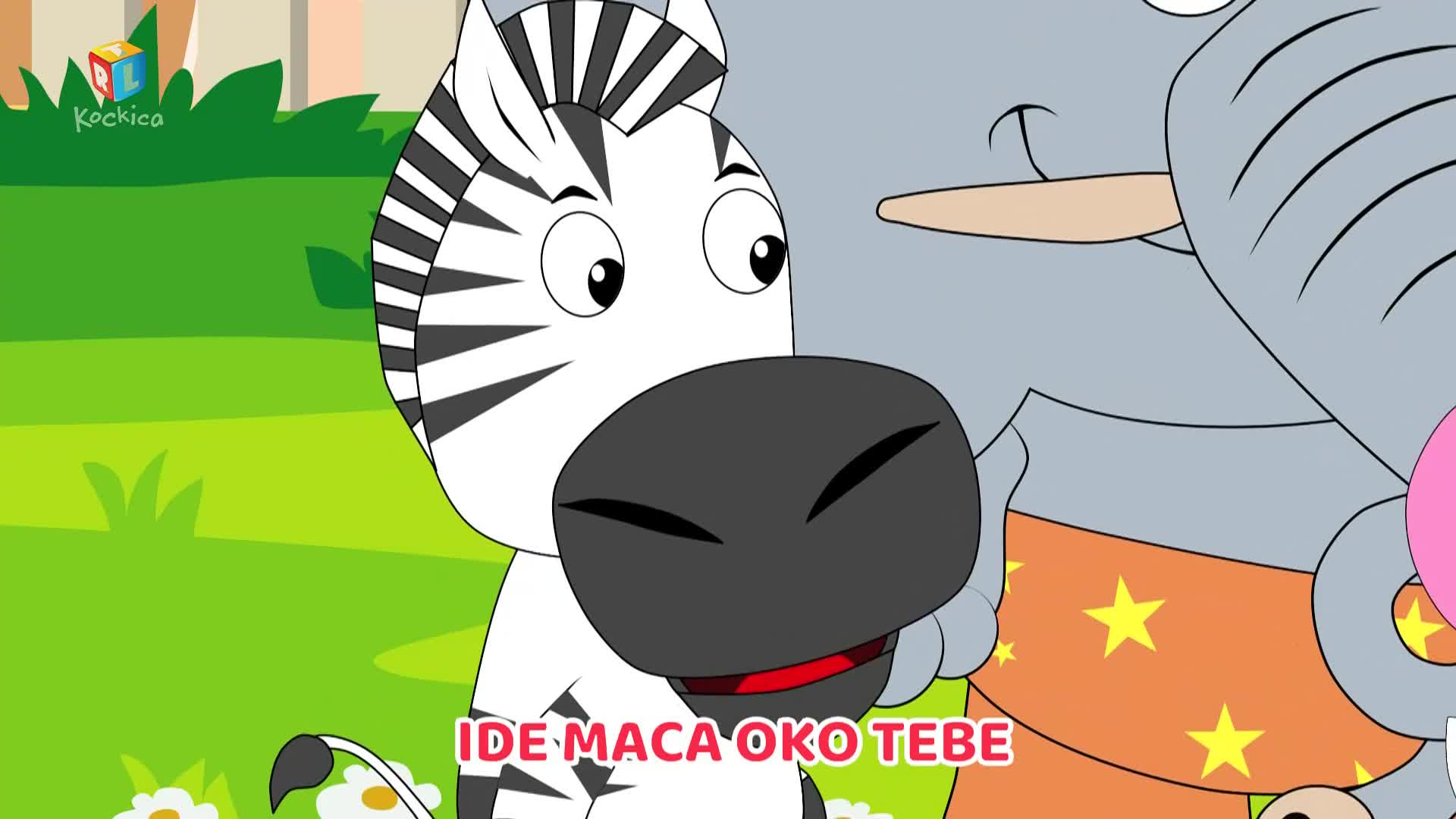 RTLKockica