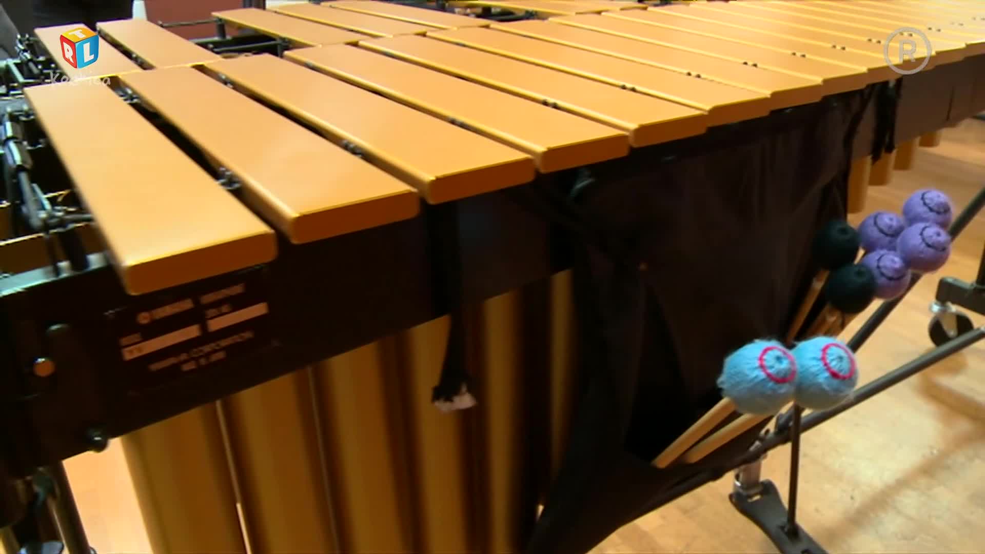 RTLKockica