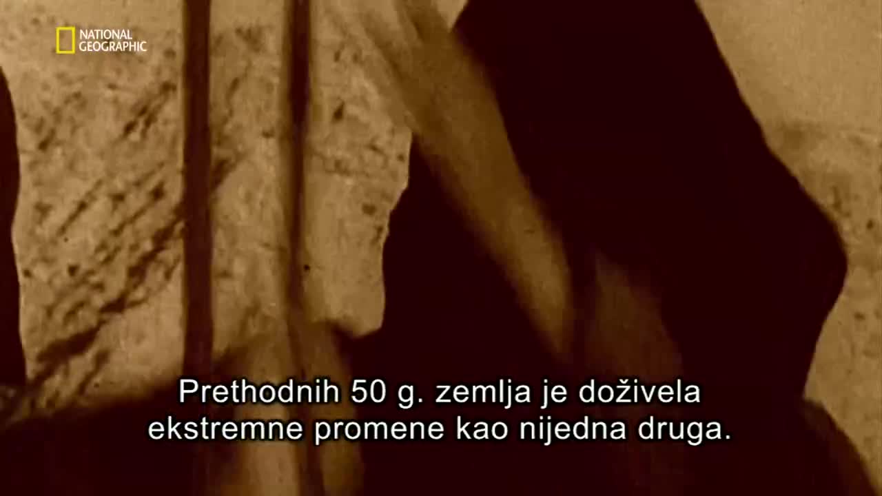 Premium10