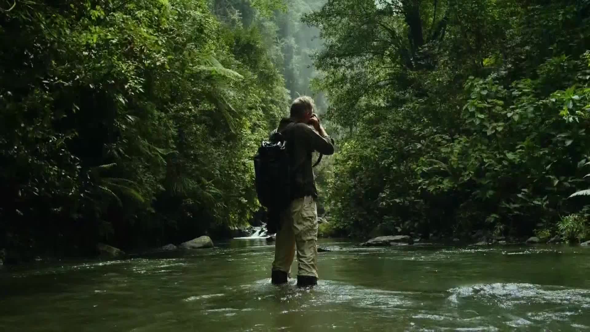 AnimalPlanet