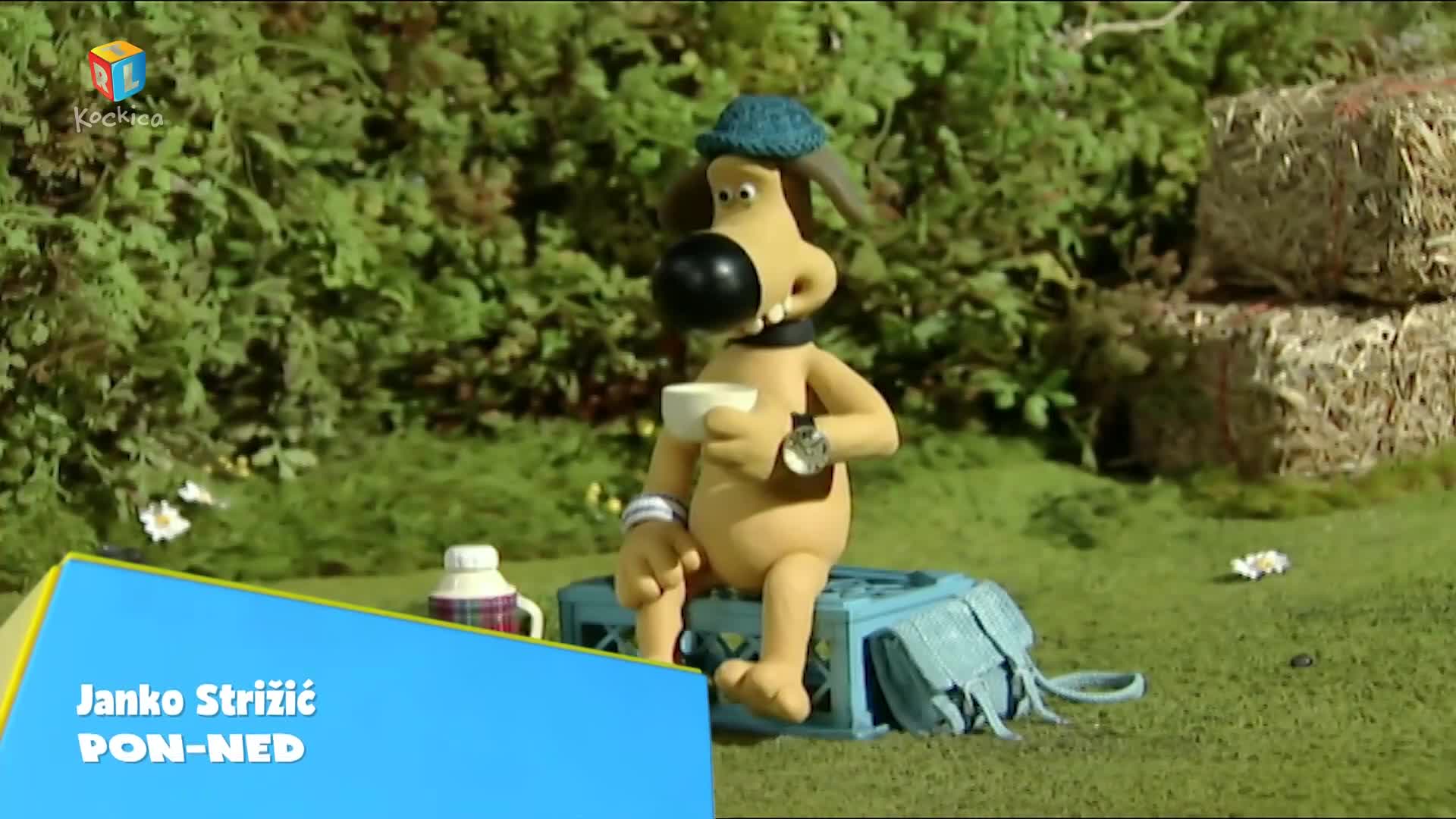 RTLKockica