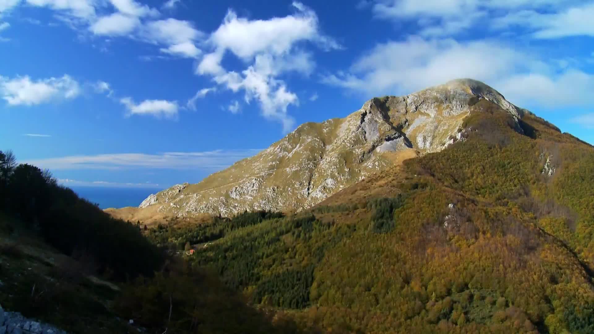 DokuTV