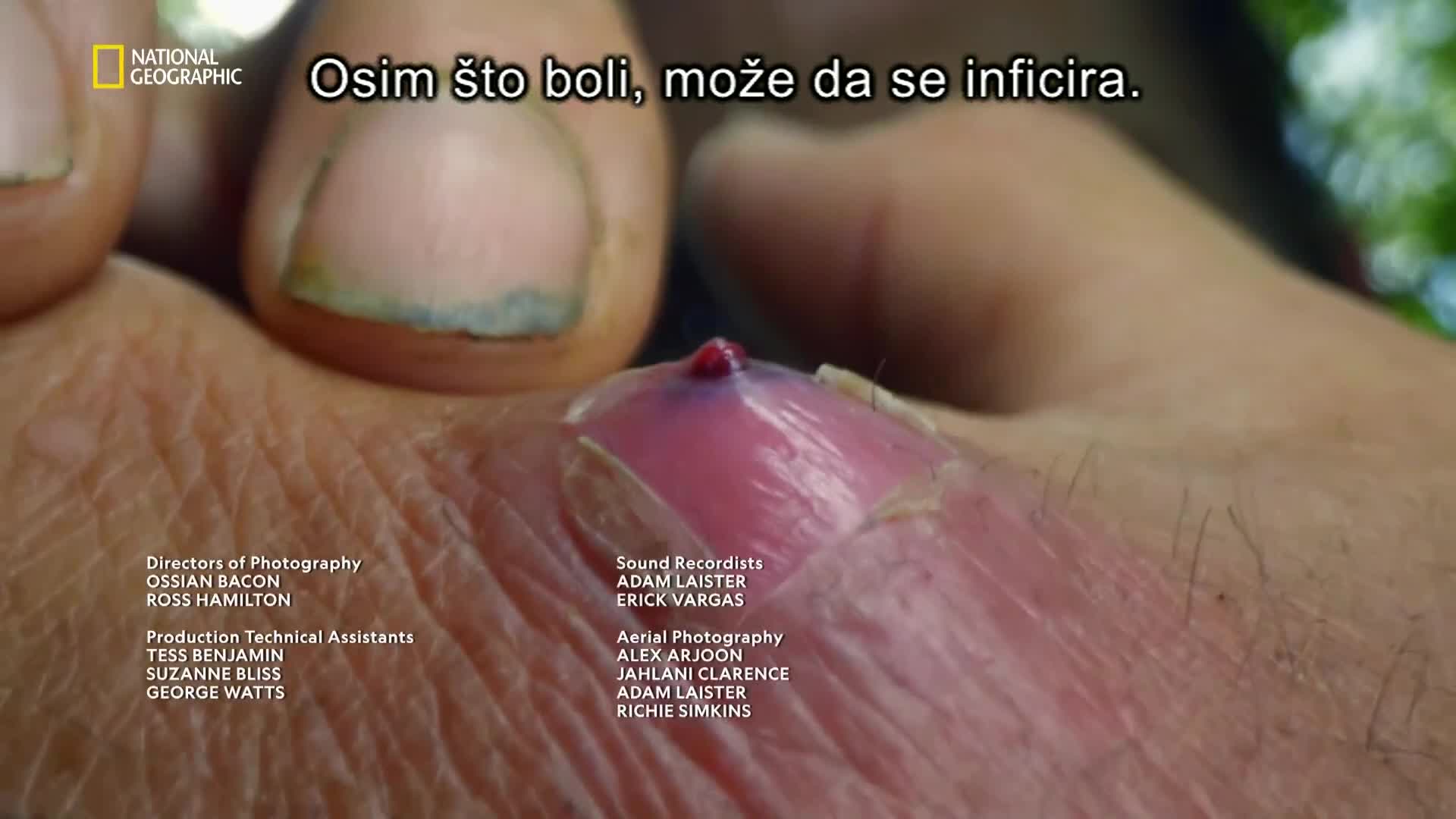 Premium10